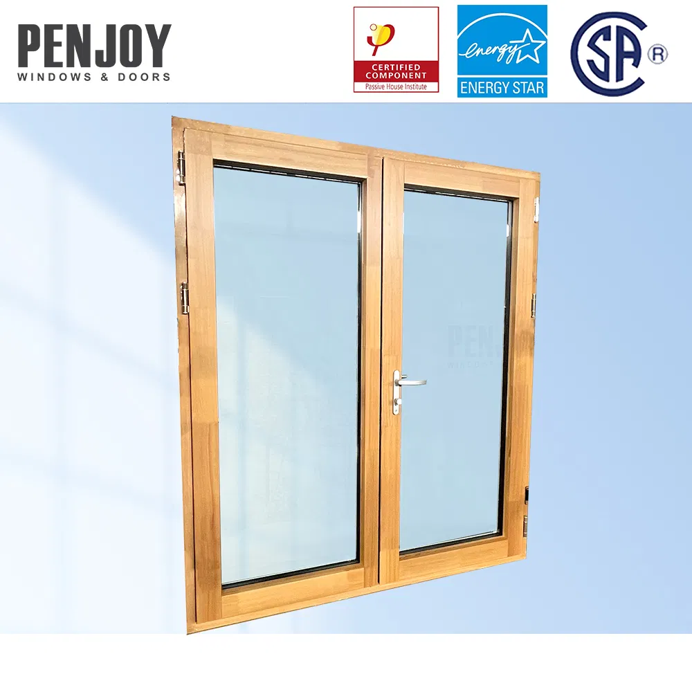 High Performance Energy Efficient Windows Doors Customized Passive House Door