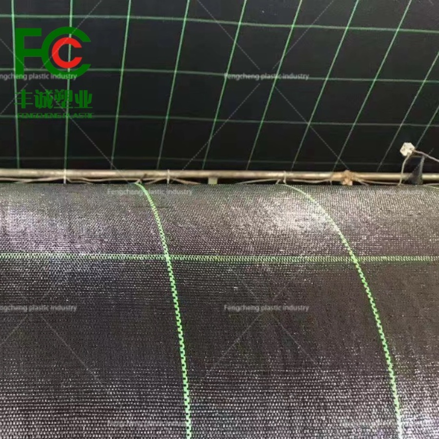 PE Geotextile Weed Mat: Ideal Weed Barrier for Long-Term Protection