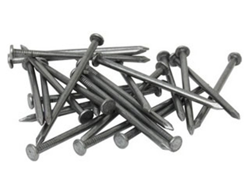 Flat Head or Umbrella Head Galvanized Roofing Nail Customized Various Sizes of Steel Nails Nails