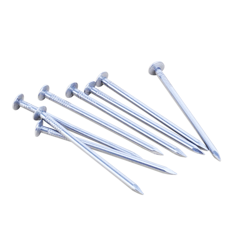 Electro Galvanized Zinc Iron Nails 1''-6'' Wooden Nail Wire Nail Polished Common Nails