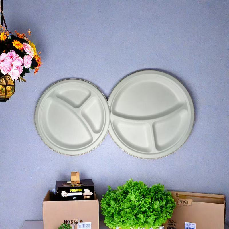High Quality Biodegradable Disposable 9 Inch Sugarcane Plates for Restaurants Free Sample Paper Dishes with Lid Accessory