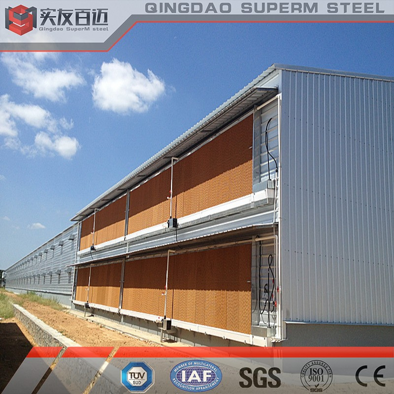 Prefabricated Steel Structure Building Poultry House Shed for Layer Broiler Farm