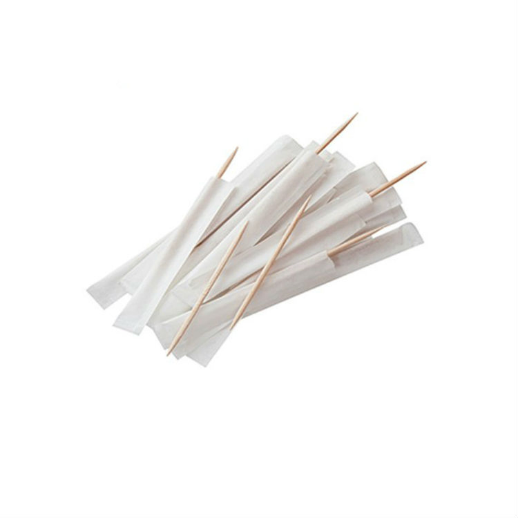 Custom Logo Free Sample High Quality Toothpick with Cover