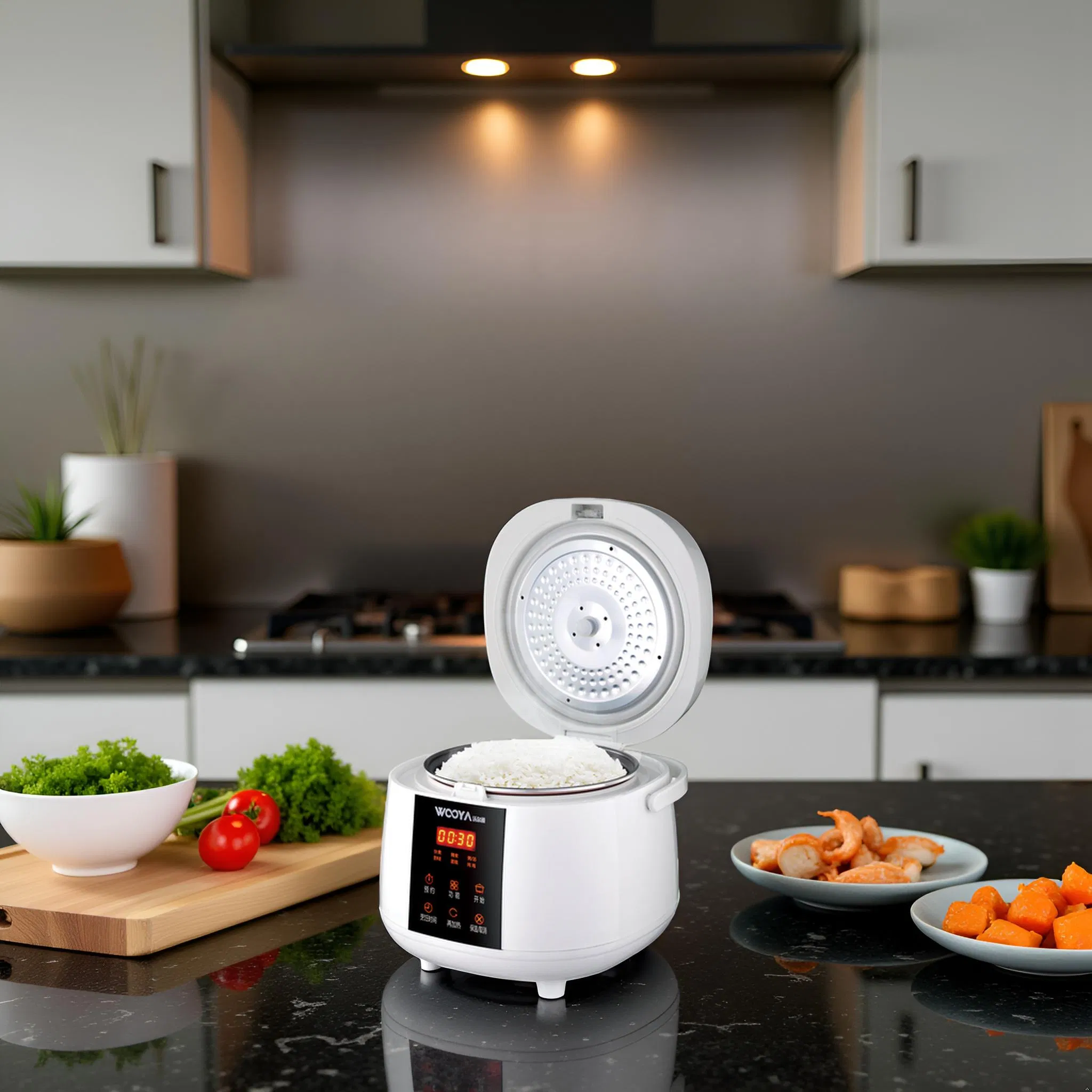 Nutricooker with Electronic Control Cooking Oatmeal Cereal Milk Porridge for Europe