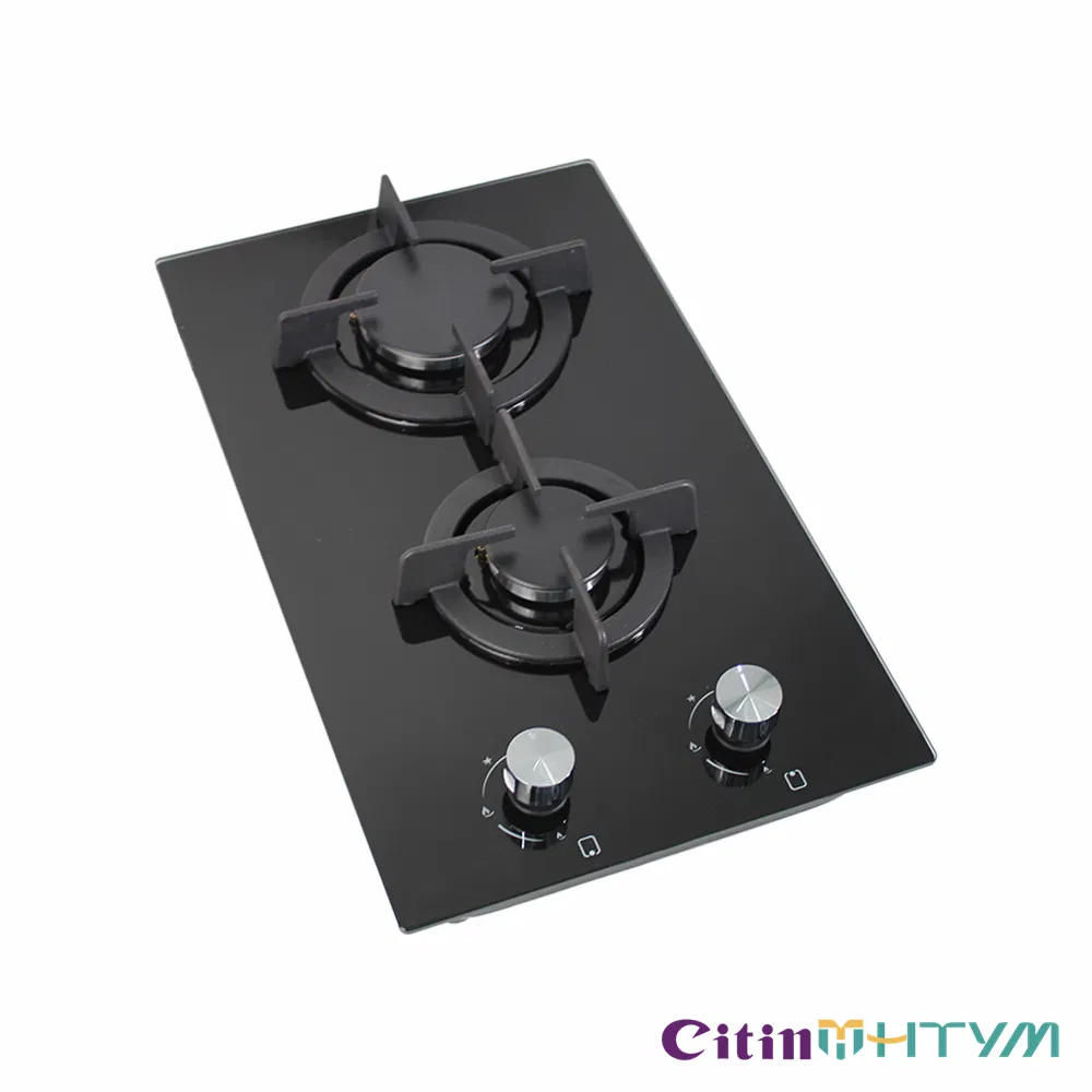 Sleek 2 Burners Gas Stove Cooktop with Efficient Vertical Gas Hob Features
