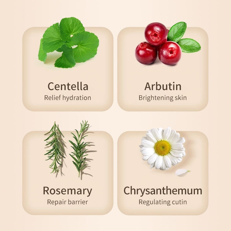 Hydrating Face Centella Hyaluronic Acid Pore Shrinking Skin Toner Whitening Niacinamide Toner