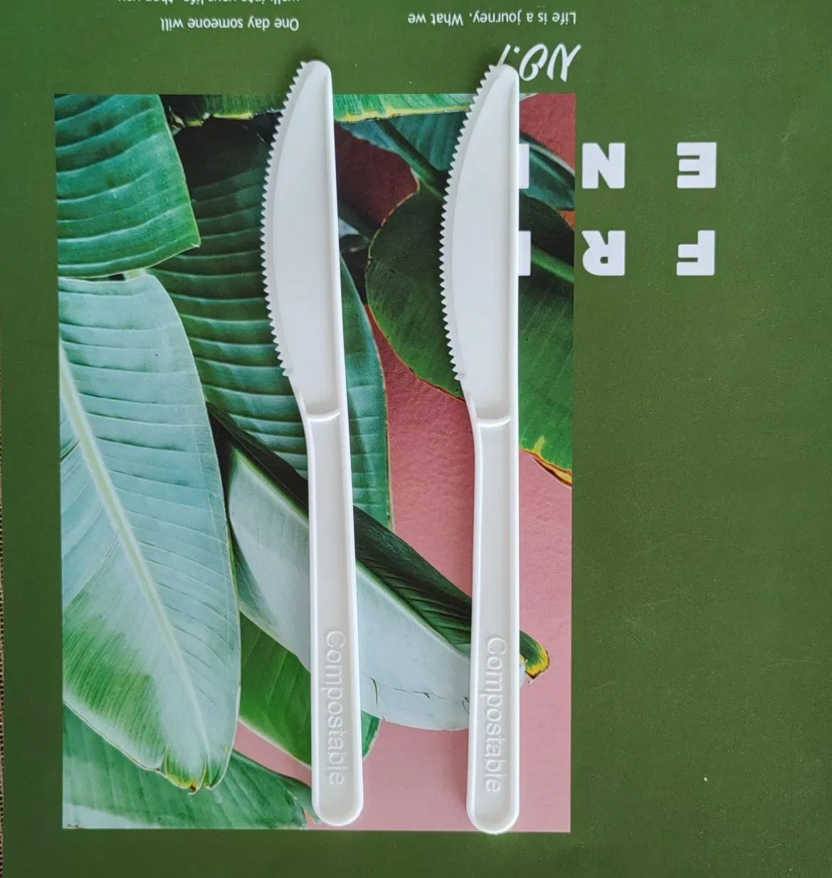 Excellent Quality Eco-Friendly Disposable Food Grade Biodegradable Compostable Forks and Knives