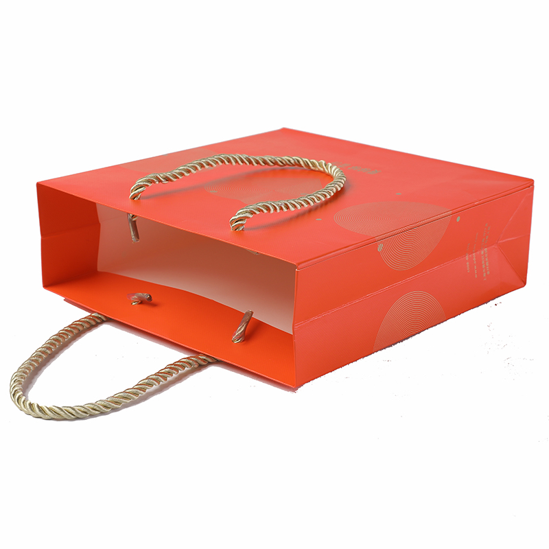 Air Sickness  Bag  Vomit  Paper  Bag