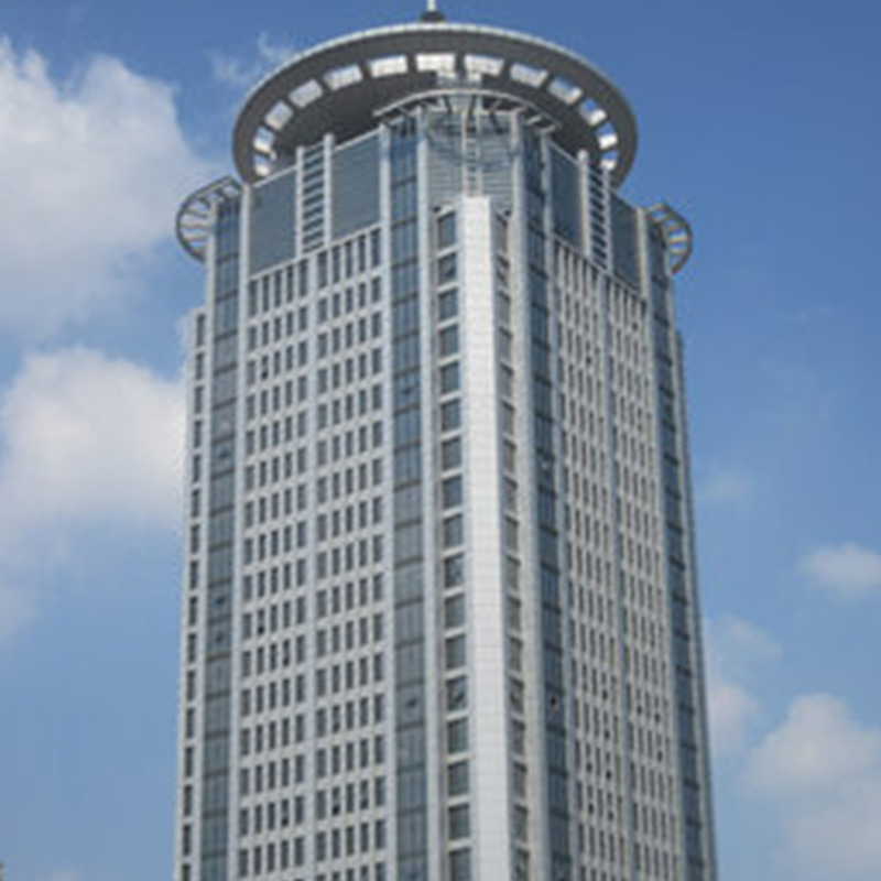 Durable Metal Aluminum Curtain Wall with Glazing and Aluminum Profiles for Commercial and Residential Buildings