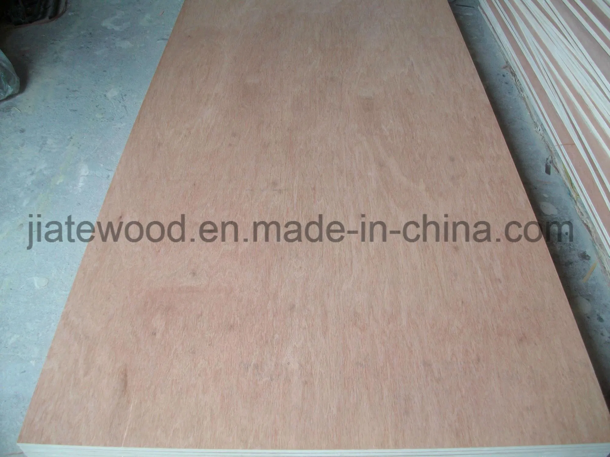 Low Price Plywood for Packaging Moisture Resistant (1220X2440 mm, 12 mm thick)