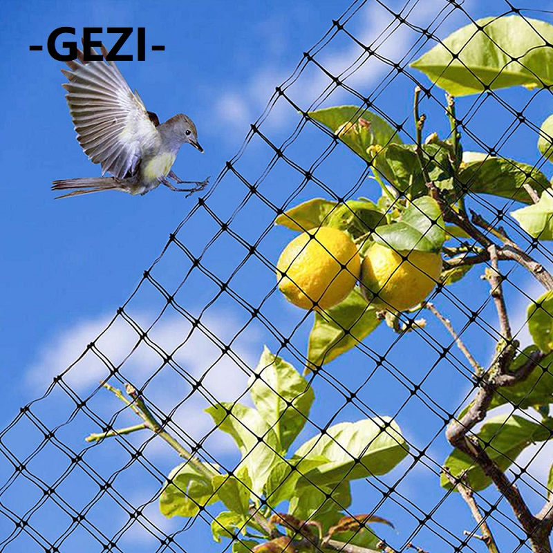 100% PE Plastic Anti-Bird Net for Greenhouse Garden Agriculture Plants and Orchards