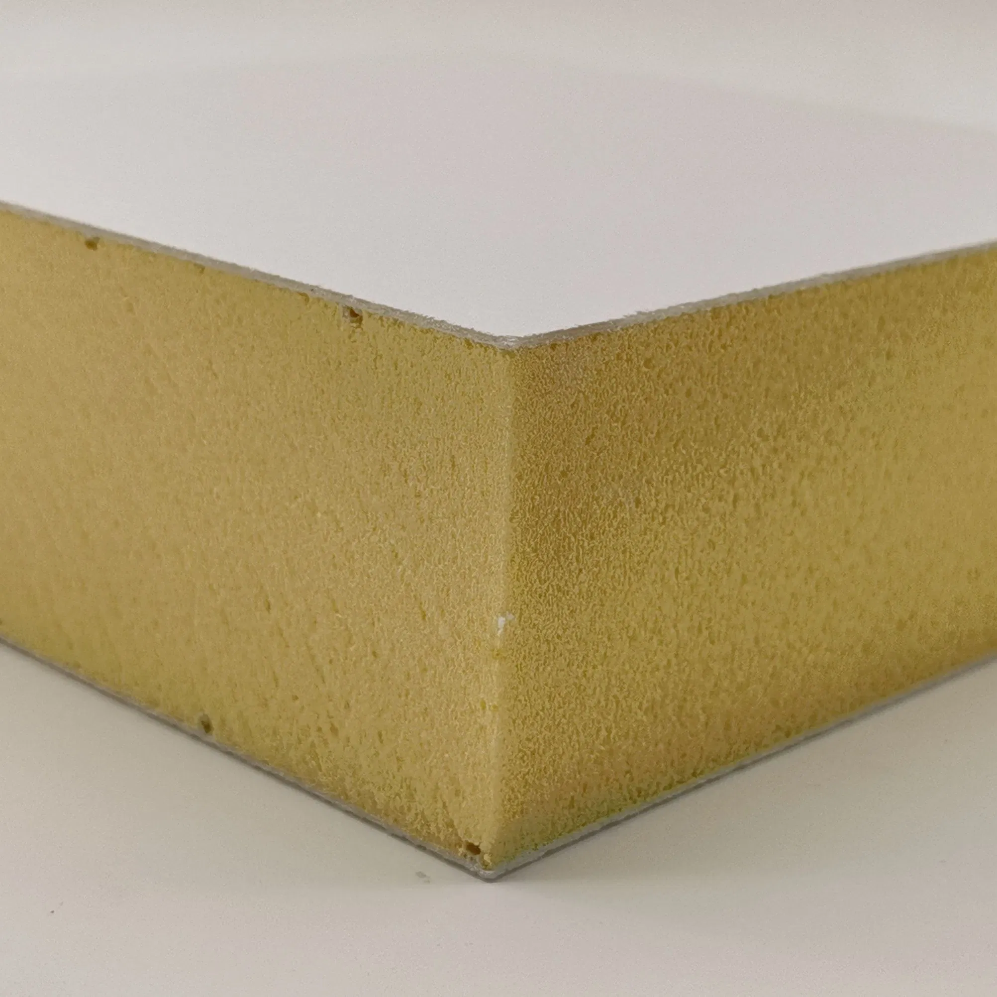 Extruded Polystyrene XPS Foam Insulation Panel for Refrigerated Compartments