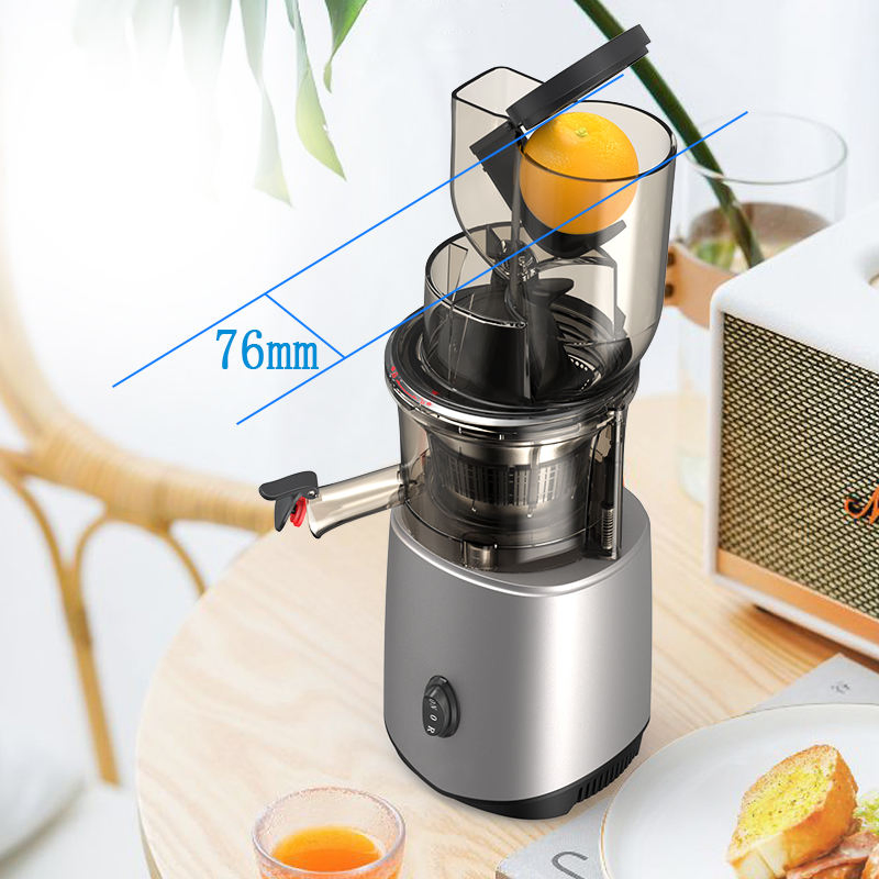 Hot Sale Portable Slow Masticating Juicer Wide Inlet with Powerful Performance Slim Body Food Grade Materials