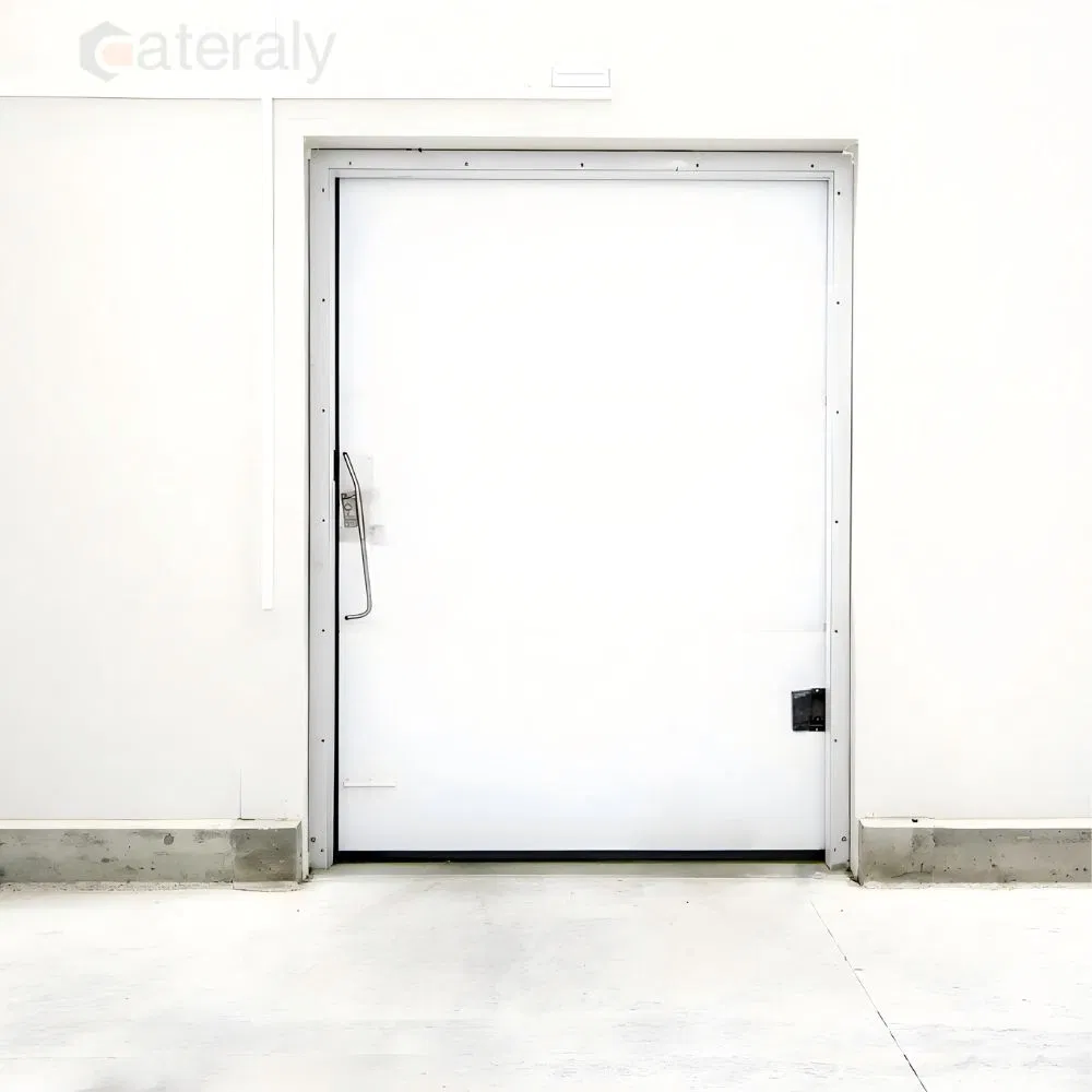 Weather-Resistant Cold Room Door with Customizable Features Available