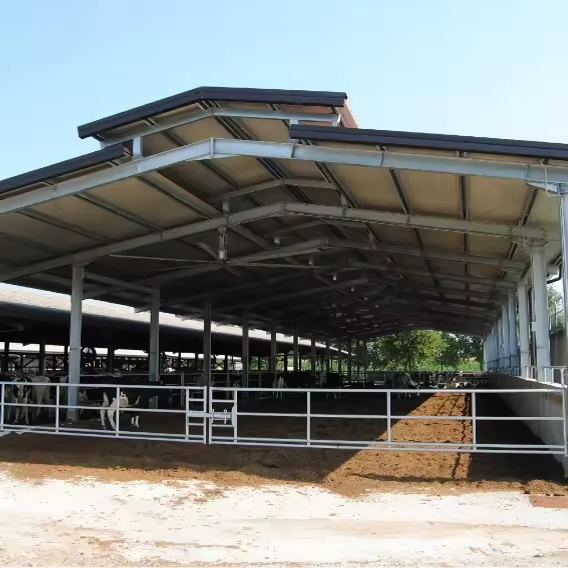 Poultry Shed Prefab Barn Steel Structures Farm Building Dairy Cow Cubicles