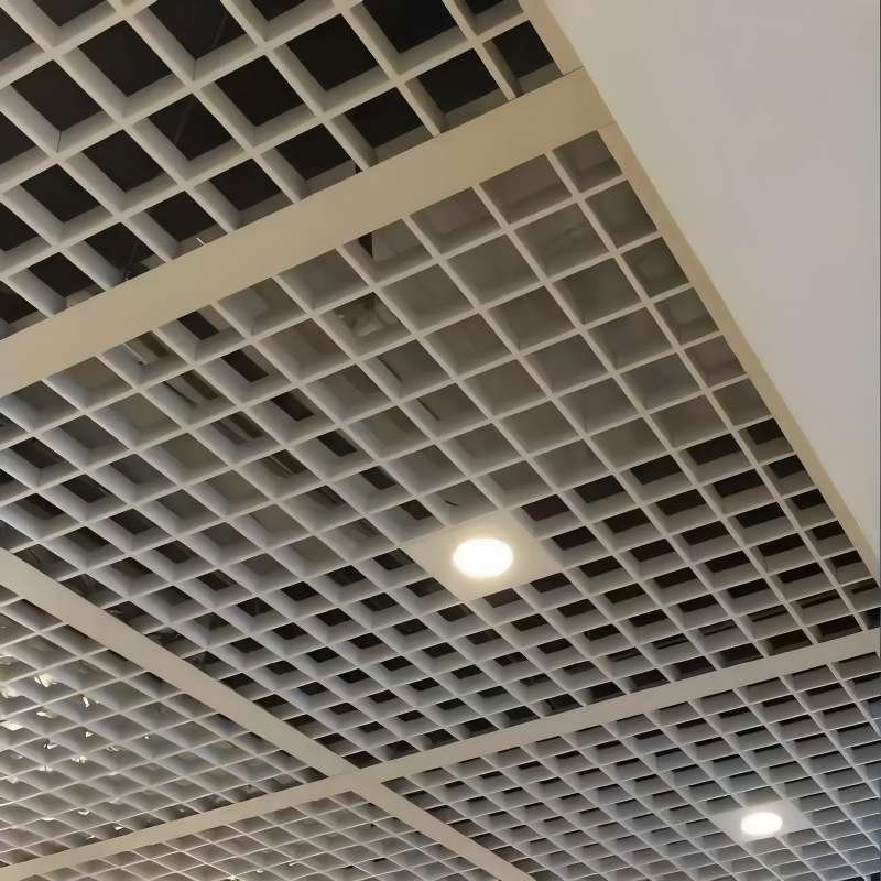 Premium Aluminum Grid Ceiling with Building Material & Aluminium Profile for High - End