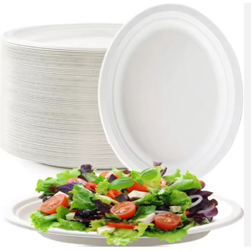 Disposable Tableware Biodegradable Birthday Dinnerware Salad Plate