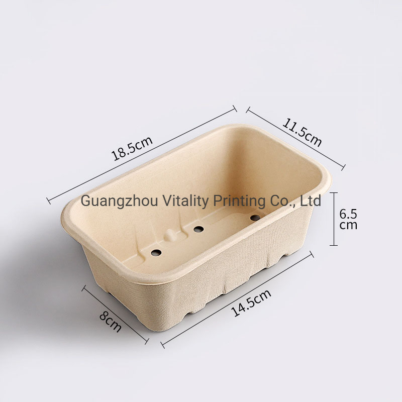 Manufacturer Eco-Friendly Biodegradable Bagasse Food Storage Box Drain Basket Kitchen Fruit Vegetable Washing Drying Storage Strainer Basket