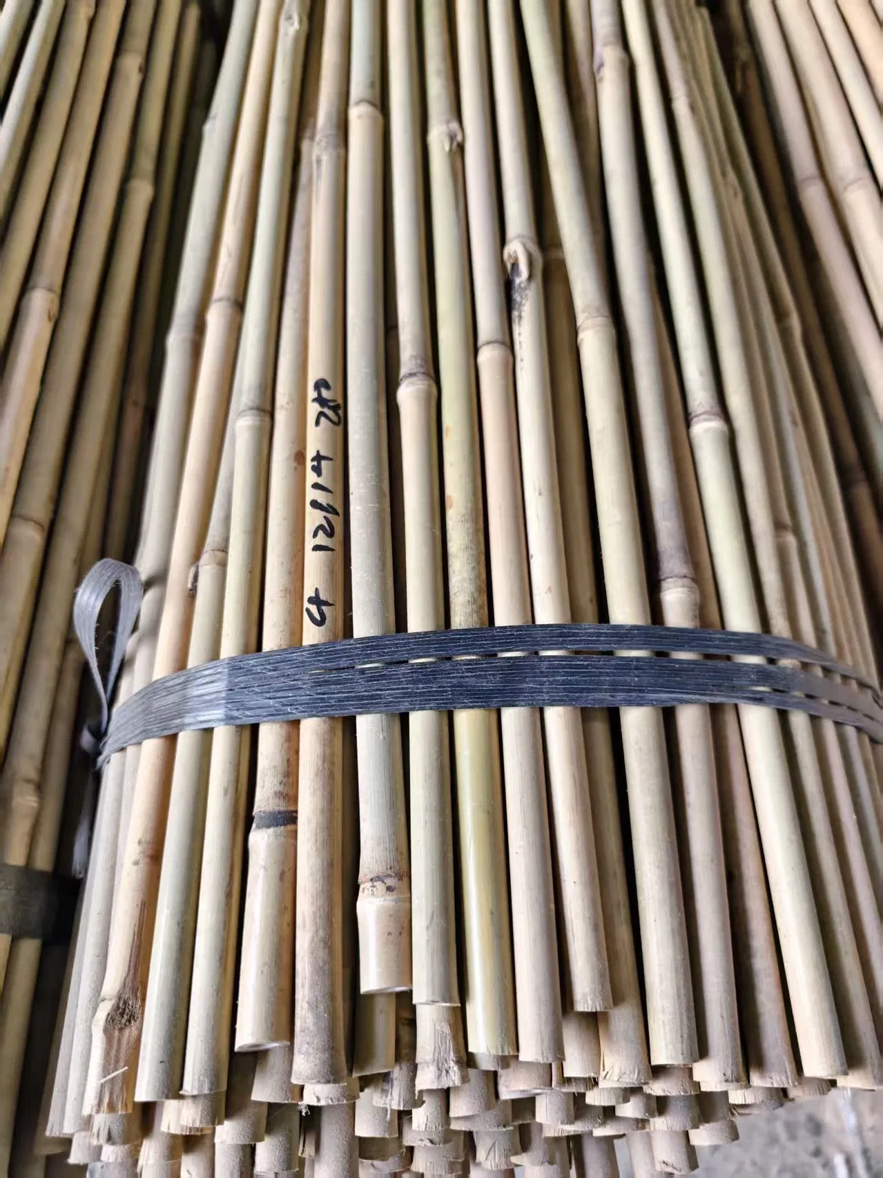 High Quality Nature Bamboo Cane Stake Dia. 22-24mm X 180cm for Plants Grow
