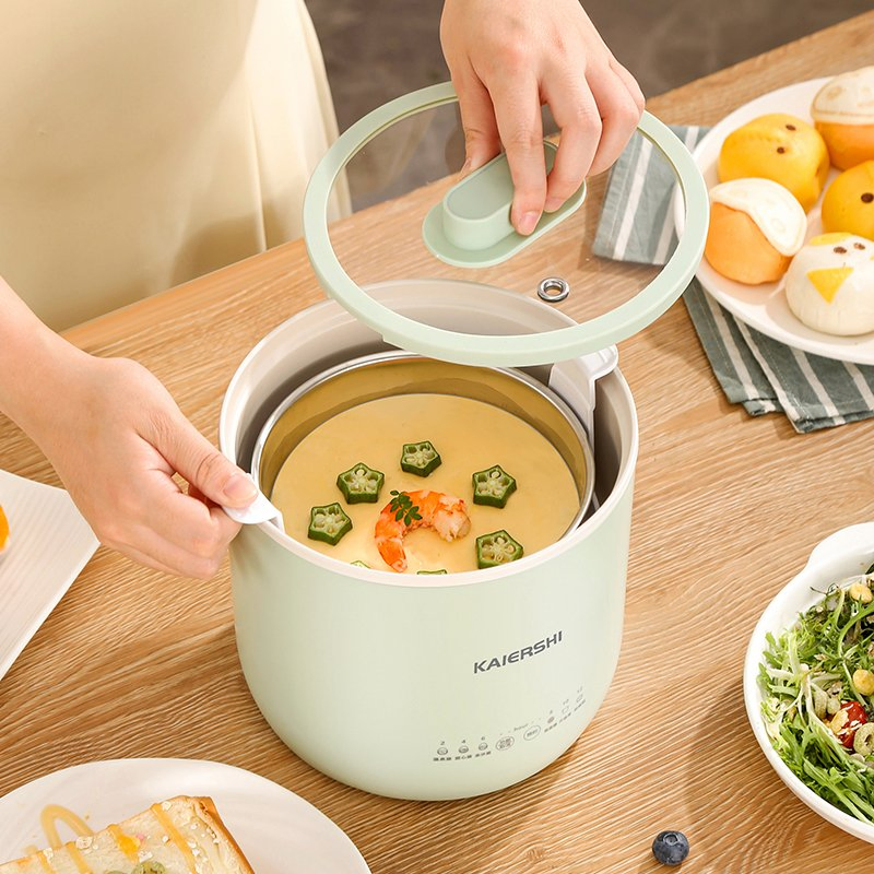 1.6L Intelligent Visual Egg Boiler and Electric Cooker