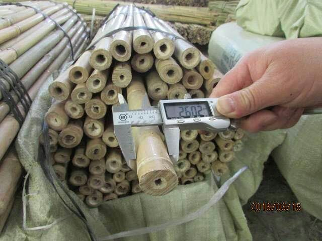 Bamboo Stick Bamboo Poles for Garden/Bamboo Cane