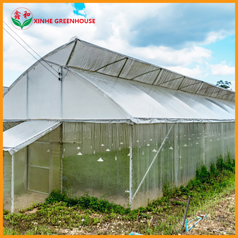 150mic -250 Mic Zigzag Flower Vegetables Warm Agro Multi Span Farden Greenhouses