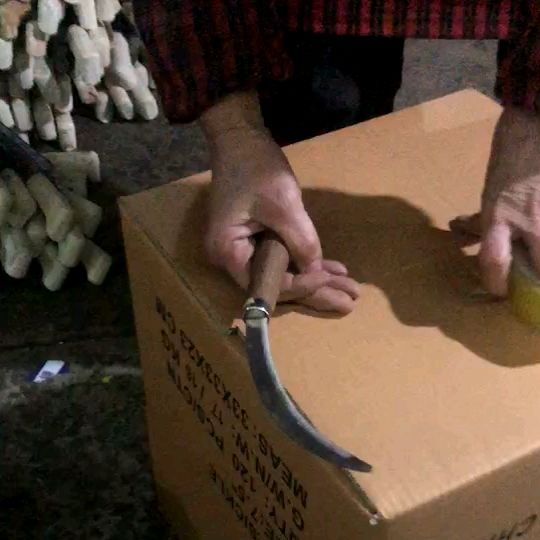 Hight Quality Agricultural Steel Grass Tooth Cane Knives Garden Hand Tools Farming Sickles with Wooden Handle