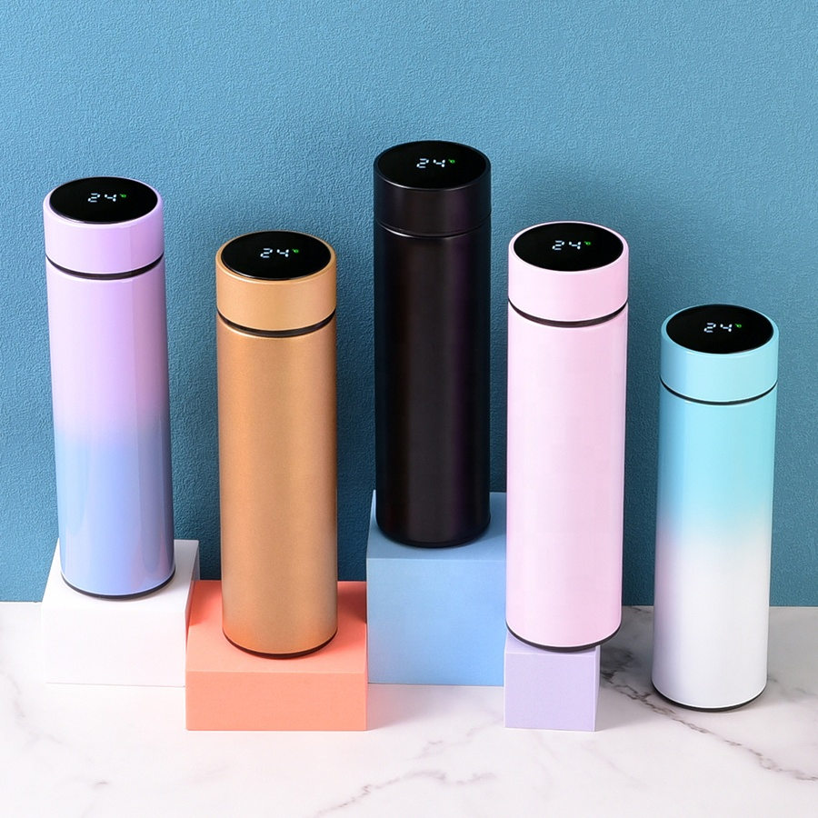 Double Wall Vacuum Insulation 500ml Tumbler Stainless Steel Smart Water Bottle with LED Temperature Display