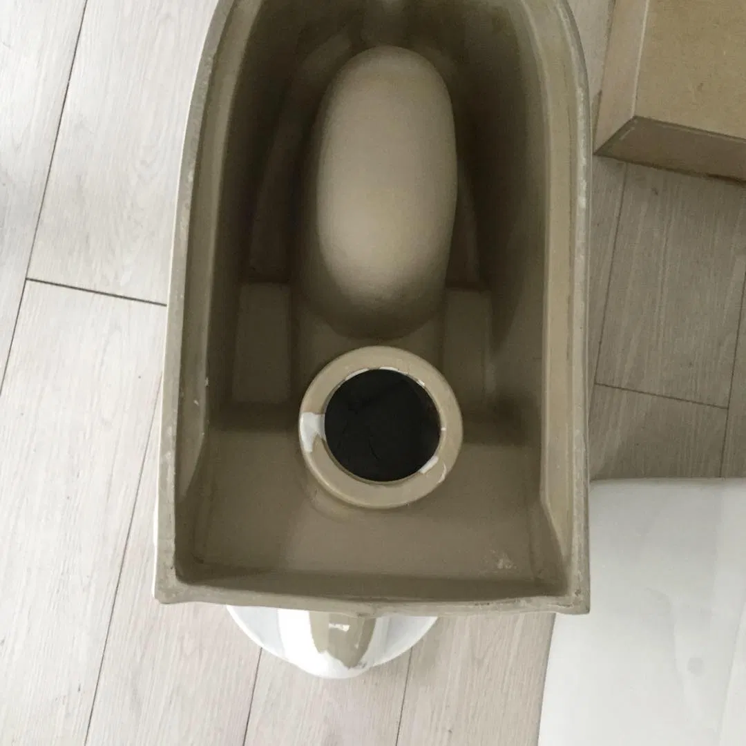 891 Washdown Two Piece Toilet with S Trap 250mm or P Trap 180mm