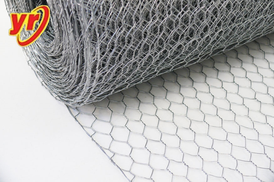 Cold Galvanized Chicken Mesh for Wall Plaster Mesh Anti Rust Easy to Install