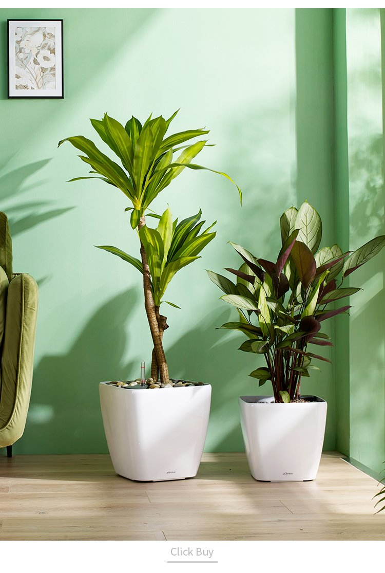 Big Square Painted Flowerpot, Plastic Planter