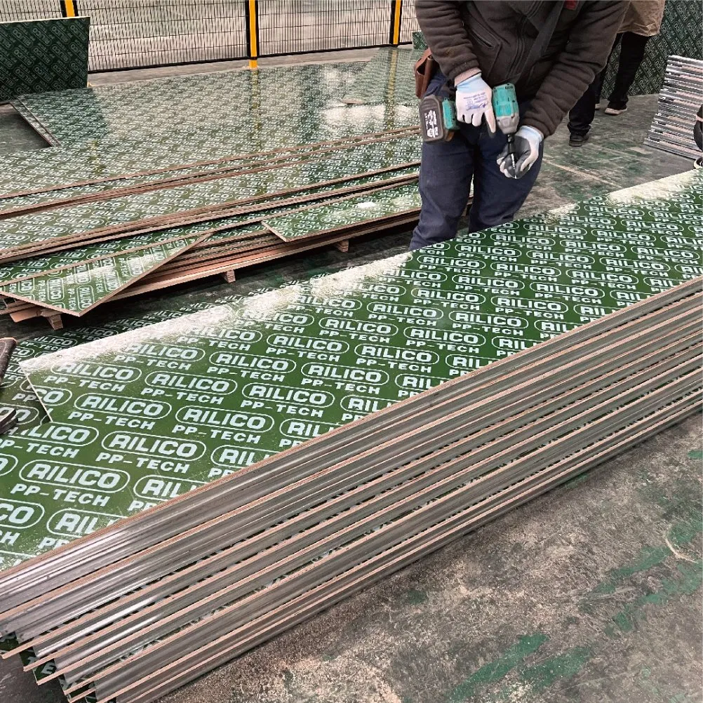 Eco-Friendly 18mm Green PP Plastic Plywood for Outdoor Use