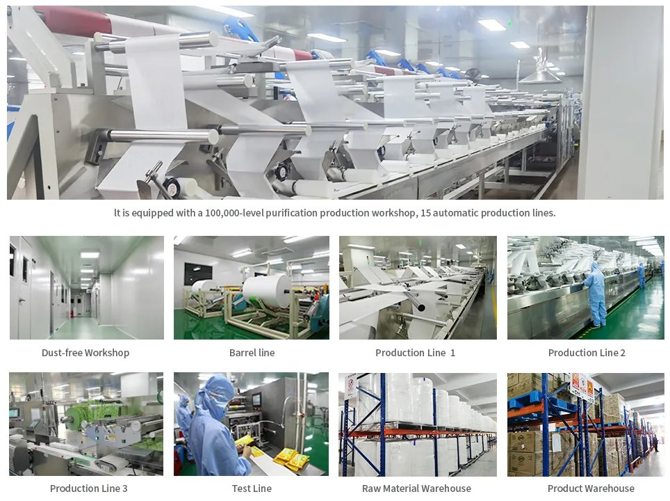 Biokleen Chinese Manufacturer Abaya Cleaning Wet Wipes