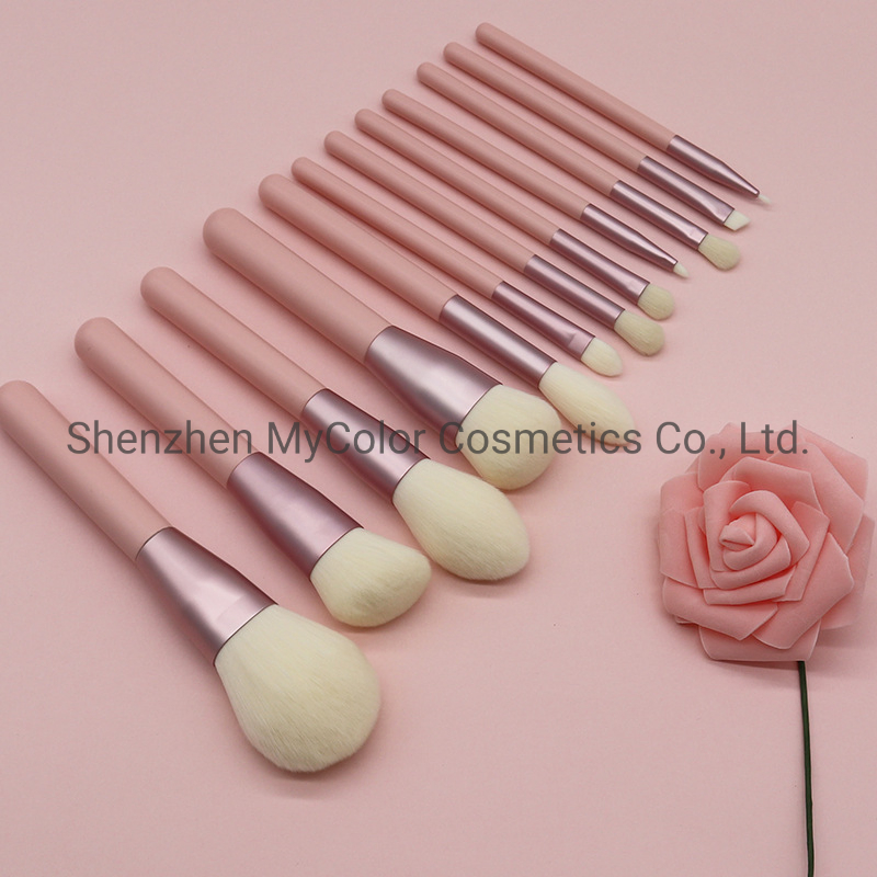 OEM ODM Premium Pink Makeup Brushes 12PCS Eye Shadow Lip Cosmetics Brush Set