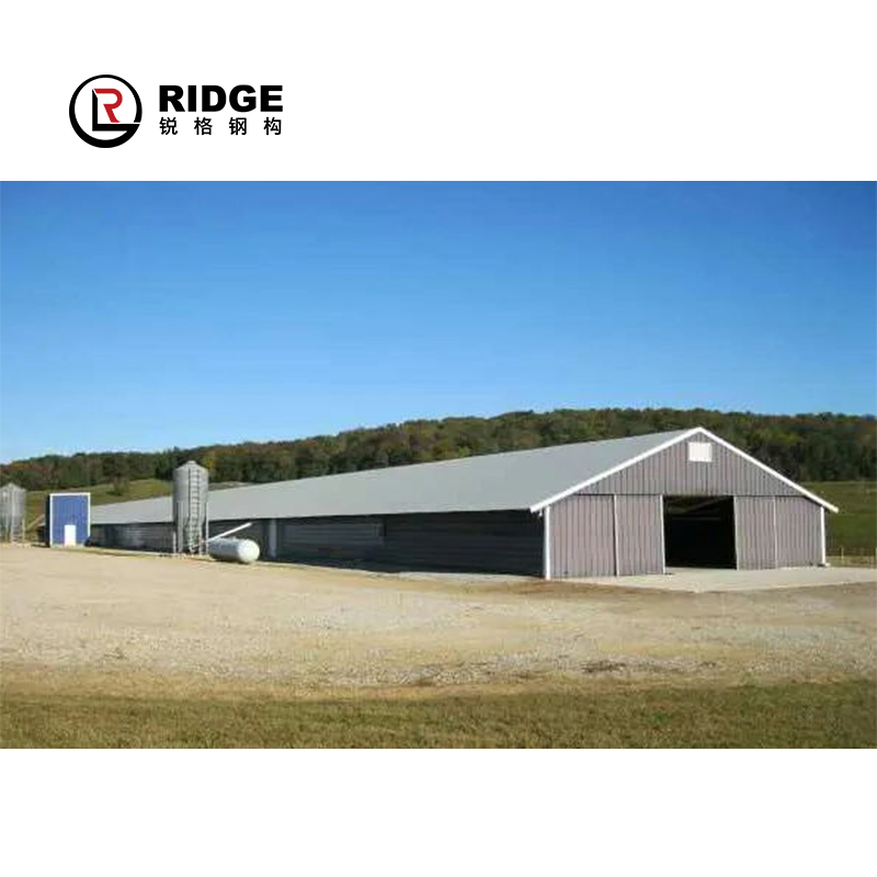 Prefabricated Chicken House Structure Building Poultry Farm Single Color Plate Galvanised