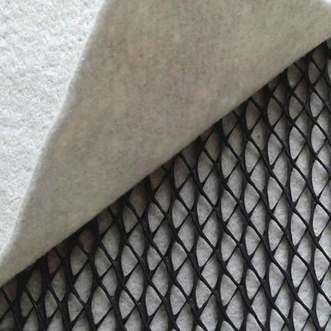 China Mat Composite Building Material Drainage Board HDPE Geonet with High Quality