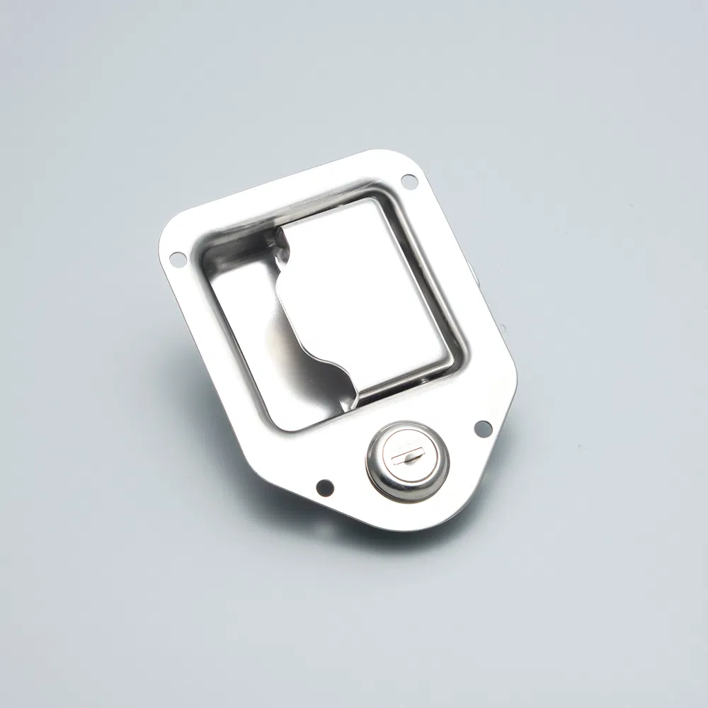 Durable Stainless Steel Paddle Lock for Secure Doors