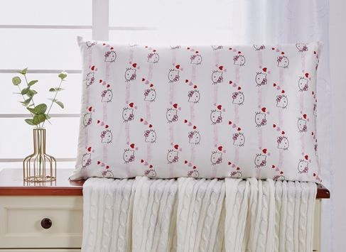 China Customized Natural and 100% Mulberry Silk Pillowcase with Hidden Zipper, Queen Size Printing Animal Design
