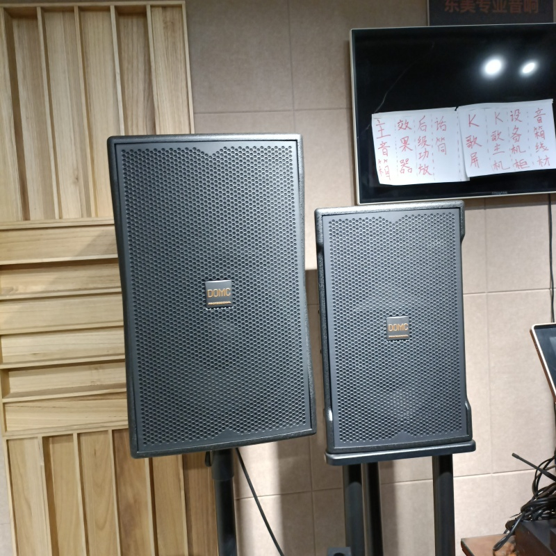 7. Domc K210 10-Inch Speaker: a Must-Have for Studio Monitoring