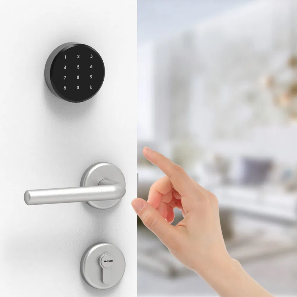 Wireless Keyboard Sticker Lock Bluetooth WiFi Lock Home Door Bolt Password Smart Lock