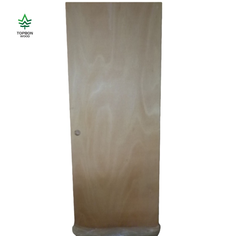 Modern Design Styles Sapele Veneer Plywood Flush Interior Door for Door