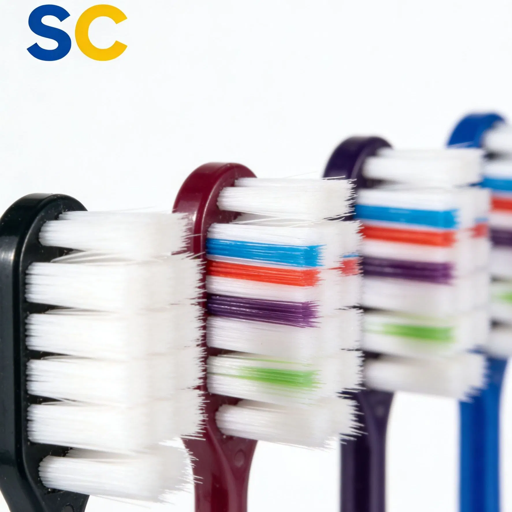 Beautiful Plastic Manual with Personalized Logo Color Contrast Design OEM Toothbrush