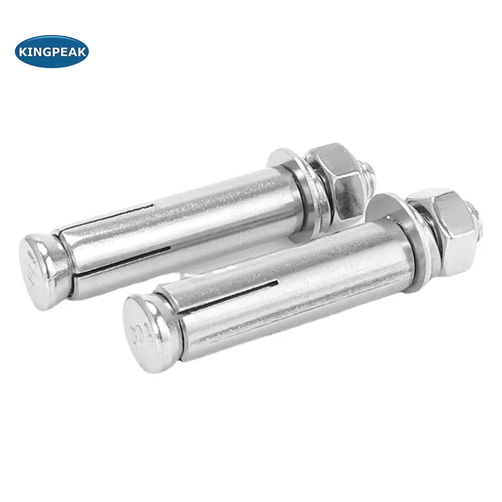 Premium Stainless Steel 304 Heavy Duty Concrete Anchor Bolt