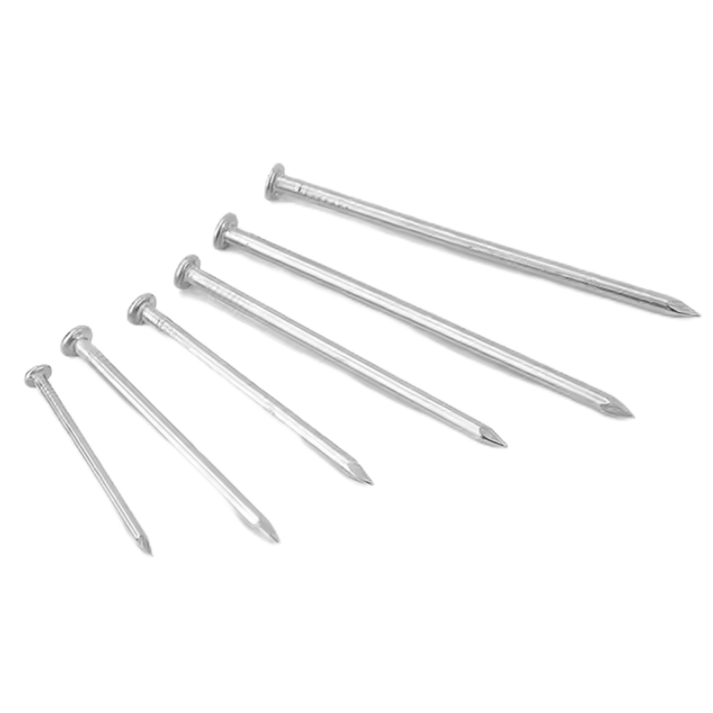 Stainless Steel Polished Steel Construction Spiral Wire Spike Twisted Shank Concrete Nails