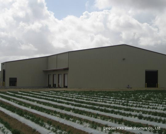 Structural Steel Design Construction Commercial Building