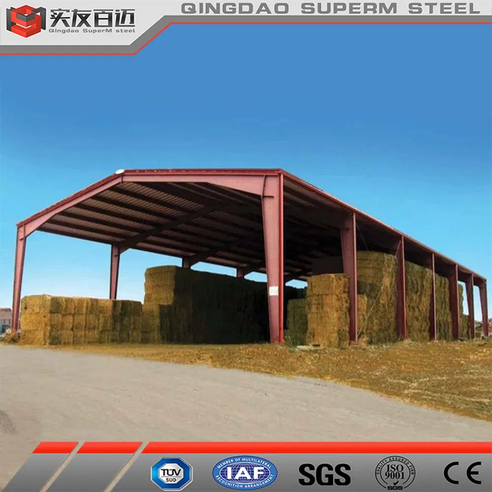 Prefabricated Steel Structure Warehouse Metal Frame Shed Building Construction