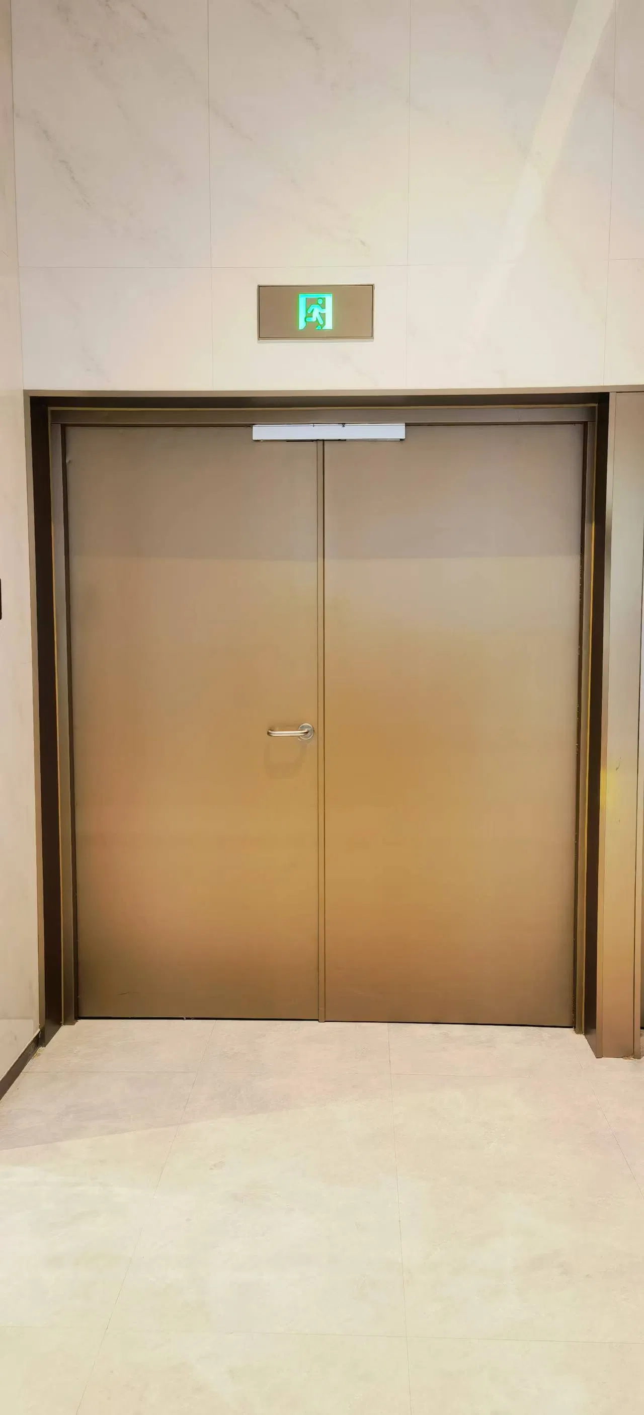 Premium Steel Fire Door with 120-Minute Fire Resistance for Safety
