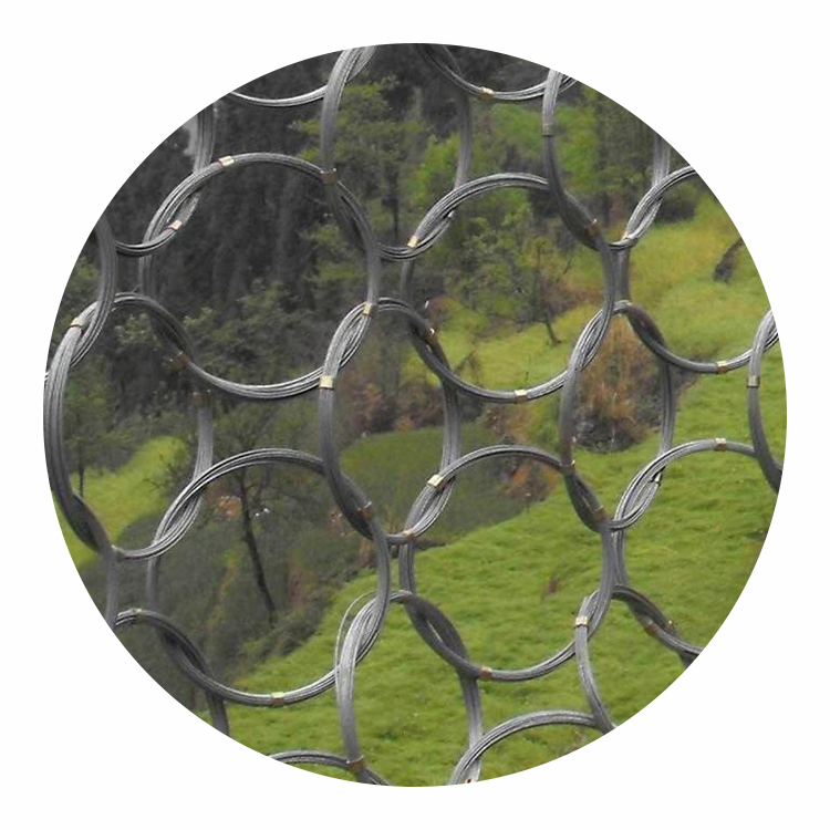 Passive Slope Rockfall Steel Wire Ring Net Sns Slope Protection Netting Mesh