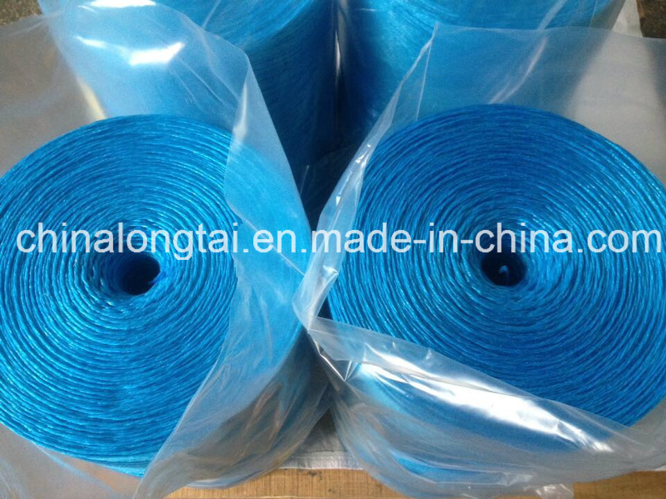 Cheap and High Tenacity Agriculture Plastic Packing Rope (SGS)