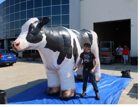 2023 New 25 FT. Giant Inflatable Mascot Horse Splunk